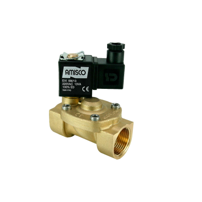 53-1-A-220VAC-13VA.jpg